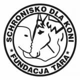 Misiek Fundacja Tara - schronisko dla koni